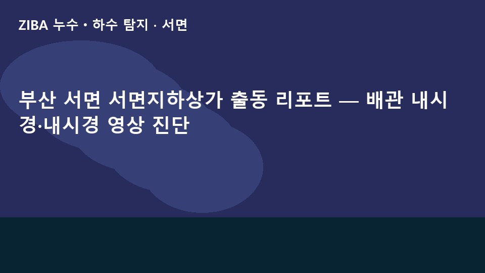 부산 서면 서면지하상가 출동 리포트 — 배관 내시경·내시경 영상 진단